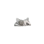تصویر  پمپ روغن (اویل پمپ) 25TC  با اپتی برک
